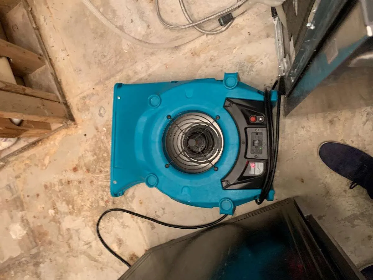 Air mover drying equipment for Mold Remediation & Removal in Waterbury